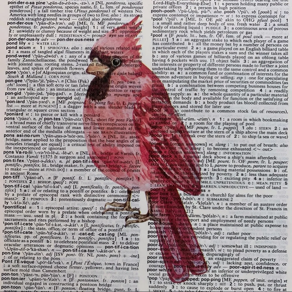 Dictionary Art Print Red Cardinal, Vintage Art Print